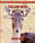 Fallow Deer: Beautiful Pictures & Interesting Facts Children Book about Fallow Deer By Renee Wood Cover Image