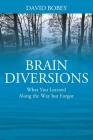 Brain Diversions: What You Learned Along the Way but Forgot By David Bobey Cover Image