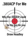 .380ACP For Me: Why the .380ACP could be the gun for you. By Drew Headley Cover Image