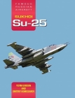Famous Russian Aircraft Sukhoi Su-25 By Yefim Gordon, Dmitriy Komissarov, Rob Taylor (Other) Cover Image