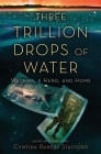 Three Trillion Drops of Water: Vietnam, a Hero, and Home Cover Image