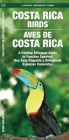 Costa Rica Birds (Bilingual): A Folding Pocket Guide to Familiar Species Cover Image