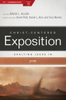 Exalting Jesus in Job (Christ-Centered Exposition Commentary) By David L. Allen Cover Image