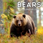 Bears Calendar 2021: 16-Month Calendar, Cute Gift Idea For Bear Lovers Women & Men Cover Image