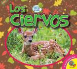 Los Ciervos Cover Image