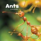 Ants (Little Critters) Cover Image