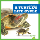 A Turtle's Life Cycle (Life Cycles) By Jamie Rice Cover Image