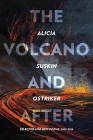 The Volcano and After: Selected and New Poems 2002-2019 (Pitt Poetry Series) By Alicia Suskin Ostriker Cover Image