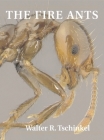 The Fire Ants By Walter R. Tschinkel, Edward O. Wilson (Foreword by) Cover Image