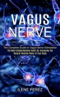 Vagus Nerve: The Most Comprehensive Guide for Accessing the Natural Healing Power of Your Body (The Complete Guide to Vagus Nerve S By Ilene Perez Cover Image