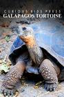 Galapagos Tortoise - Curious Kids Press: Kids book about animals and wildlife, Children's books 4-6 By Curious Kids Press Cover Image