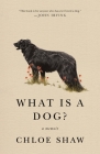 What Is a Dog?: A Memoir By Chloe Shaw Cover Image