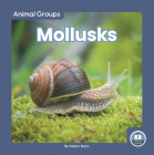 Mollusks Cover Image