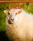 Sheep! An Educational Children's Book about Sheep with Fun Facts By Sue Reed Cover Image