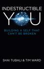 Indestructible You: Building a Self That Can't Be Broken Cover Image