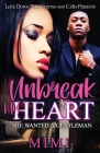 Unbreak My Heart By Mimi Cover Image