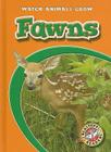 Fawns (Watch Animals Grow) By Anne Wendorff Cover Image