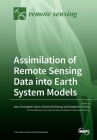 Assimilation of Remote Sensing Data into Earth System Models Cover Image
