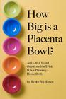 How Big is a Placenta Bowl?: And Other Weird Questions You'll Ask When Planning a Home Birth Cover Image