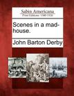 Scenes in a Mad-House. By John Barton Derby Cover Image