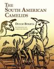 The South American Camelids By Duccio Bonavia, Javier Flores Espinoza (Translator) Cover Image