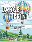 Large Print Color by Number for Adults: Coloring Book Volume 2 - A Variety of Simple, Easy Designs for Relaxation By Color Questopia Cover Image