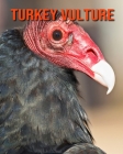 Turkey Vulture: Amazing Facts about Turkey Vulture Cover Image