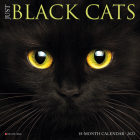 Just Black Cats 2023 Mini Wall Calendar By Willow Creek Press Cover Image