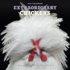 Extraordinary Chickens 2020 Wall Calendar By Stephen Green-Armytage Cover Image