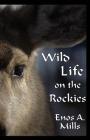 Wild Life on the Rockies By Enos A. Mills Cover Image