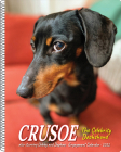 Crusoe the Celebrity Dachshund 2022 Engagement Calendar, Spiral Planner Cover Image