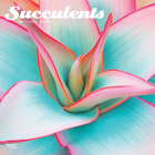 Succulents 2021 Square Cover Image