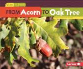 From Acorn to Oak Tree (Start to Finish) Cover Image