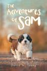 The Adventures of Sam Cover Image