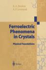 Ferroelectric Phenomena in Crystals: Physical Foundations Cover Image