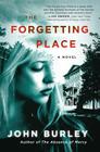 The Forgetting Place: A Novel Cover Image