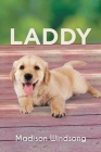 Laddy By Madison Windsong Cover Image