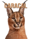Caracal: Fun Facts and Amazing Photos of Animals in Nature By Kevin Ray Cover Image
