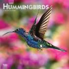 Hummingbirds 2020 Square Foil Cover Image