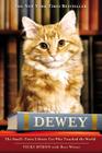 Dewey: The Small-Town Library Cat Who Touched the World Cover Image