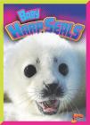 Baby Harp Seals (Adorable Animals) By Christine Thomas Alderman Cover Image