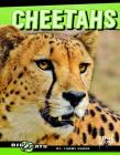 Cheetahs (Edge Books: Big Cats) Cover Image