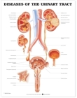 Diseases of the Urinary Tract Anatomical Chart Cover Image