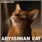 Abyssinian Cat Calendar 2021: Official Abyssinian Cat Calendar 2021, 12 Months By Digi Art Print Cover Image