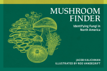 Mushroom Finder: Identifying Fungi in North America (Nature Study Guides) By Jacob Kalichman, Roo Vandegrift (Illustrator) Cover Image