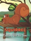 squirrel Coloring Book for Teens: An Adults Stress relief Coloring Book For Grown ups Coloring Pages for Relaxing and Fun By Joyce Grear Cover Image
