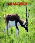 Blackbuck: Beautiful Pictures & Interesting Facts Children Book About Blackbuck Cover Image