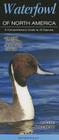 Waterfowl of North America: A Comprehensive Guide to All Species By Kevin T. Karlson Cover Image