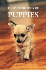 The Picture Book of Puppies: A Gift Book for Alzheimer's Patients and Seniors with Dementia Cover Image