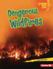 Dangerous Wildfires By Lola Schaefer Cover Image